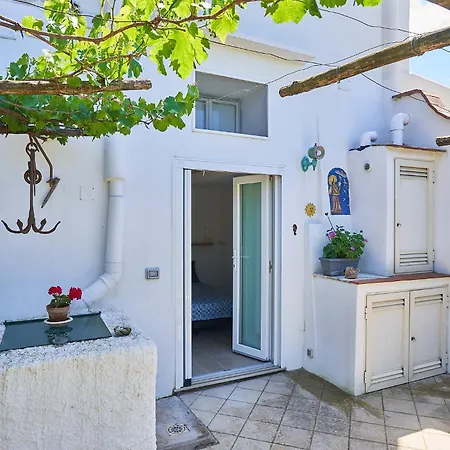Il Cellaio Guest house Anacapri (Isola di Capri)